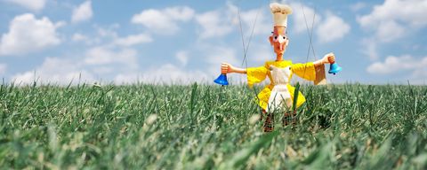 Marionette puppet in grassy field