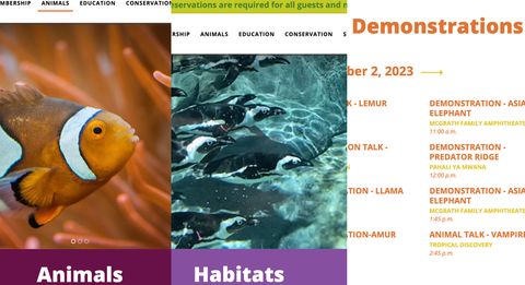 three overlapping sections of three web pages showing animal, habitat, and demonstration titles