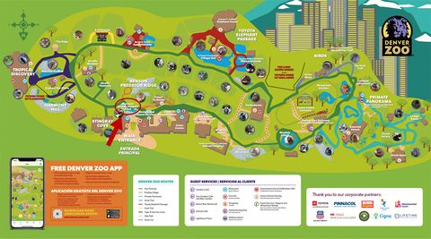 A map of the zoo with Pinnacol African Penguin Point circled in red, but no links from the map to the penguin habitat page